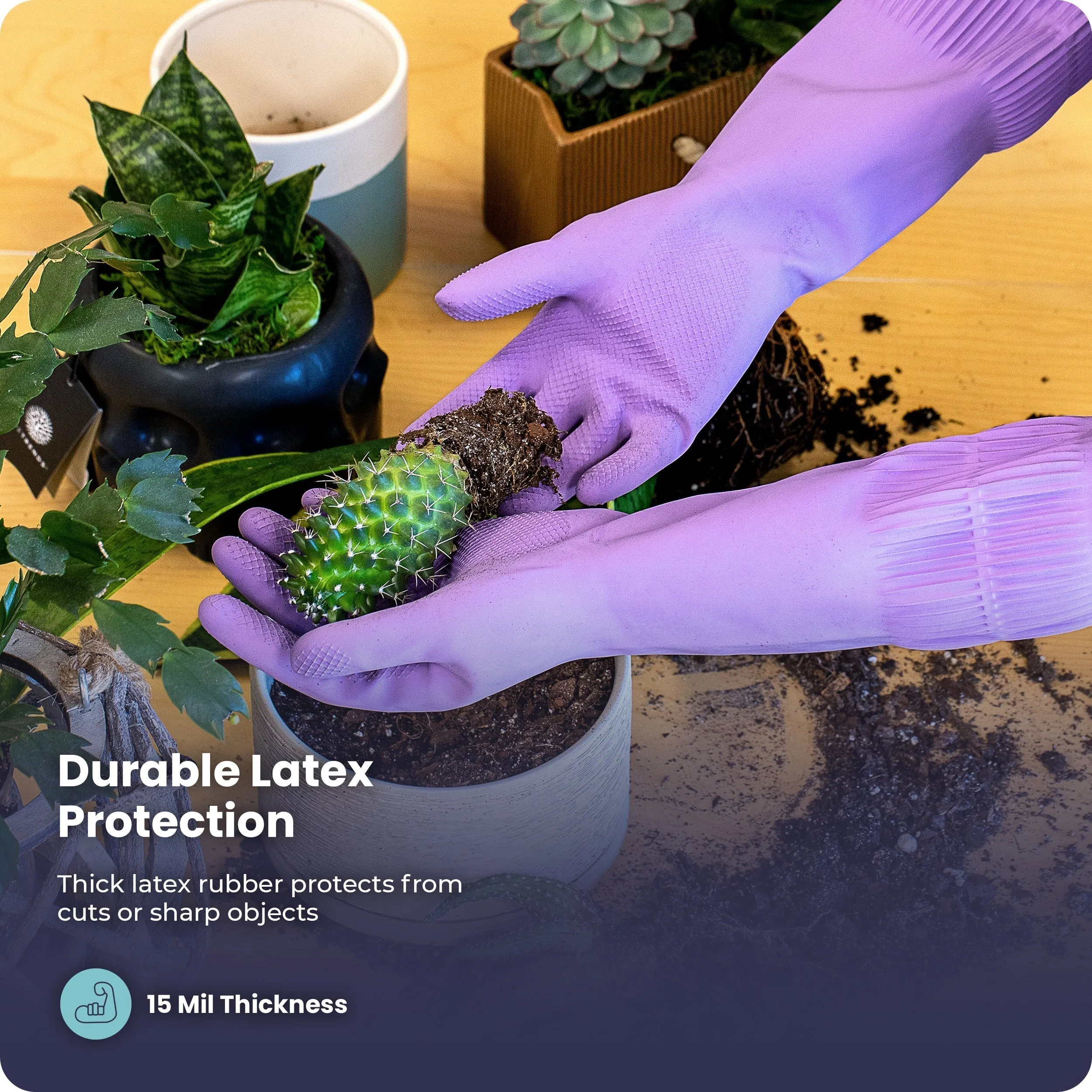 Long Sleeve Dish Gloves 120Pair (L)