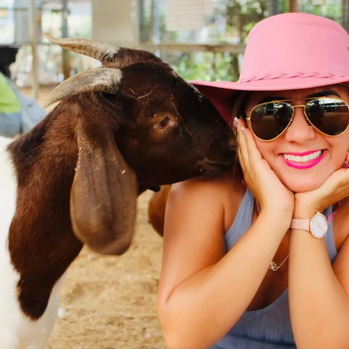Ram Pink Crushable Hat